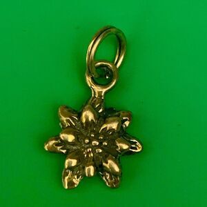 .925 Poinsettia Sterling Silver Jewelry Charm #flower #Christmas